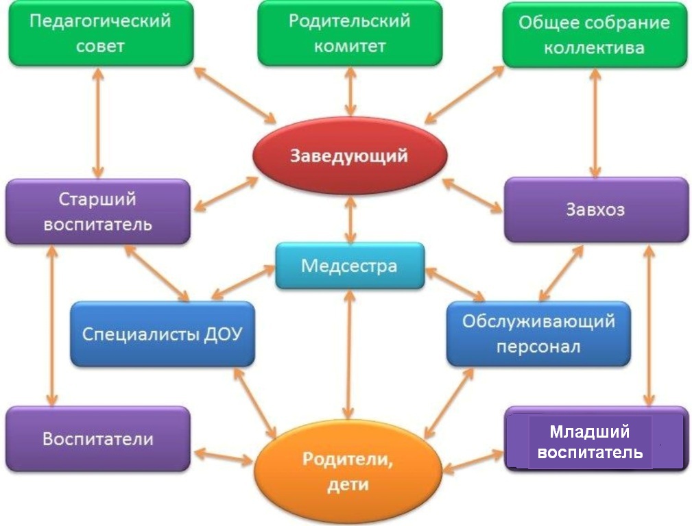 структура управления МБДОУ схема